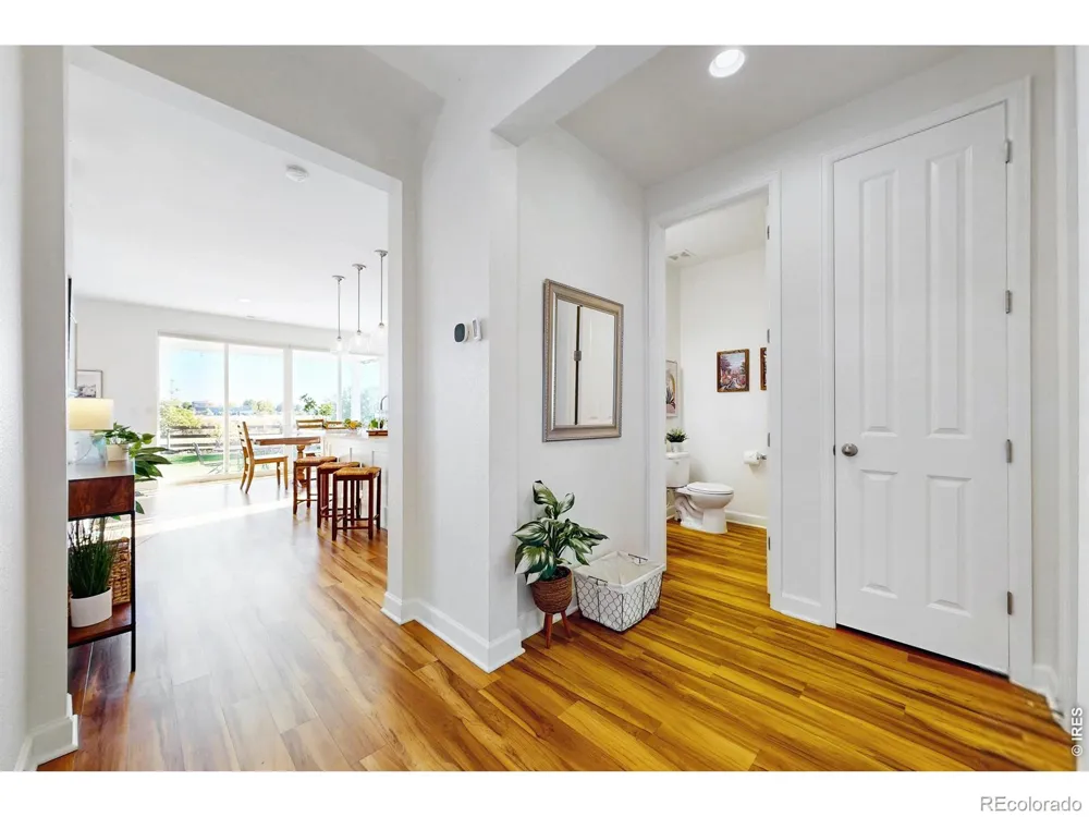 1573 Brolien Drive Windsor, CO 80550