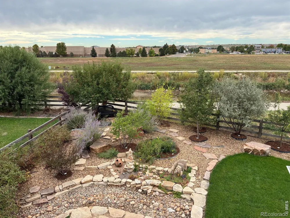 1573 Brolien Drive Windsor, CO 80550