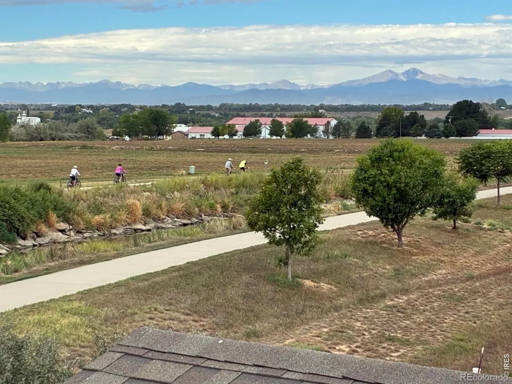 1573 Brolien Drive Windsor, CO 80550