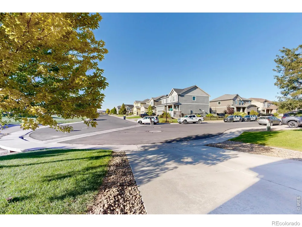 1573 Brolien Drive Windsor, CO 80550