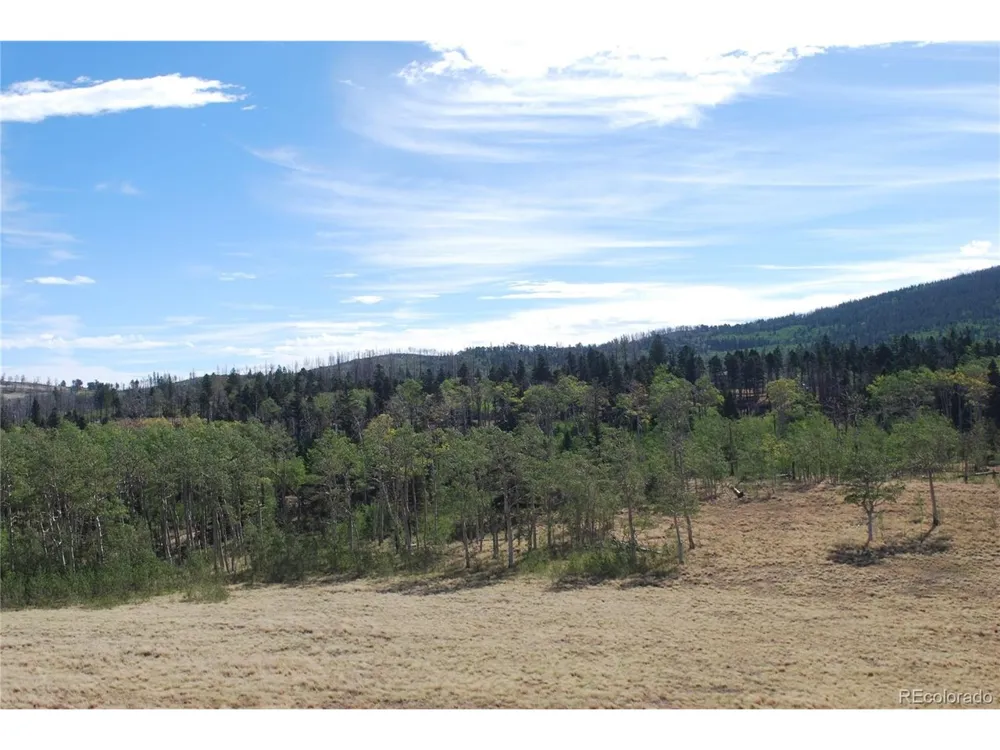 2411 Vent Place Fort Garland, CO 81133
