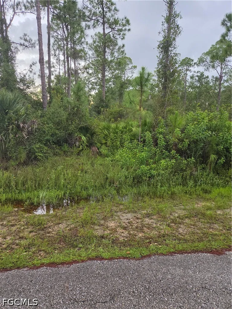 Truman Avenue Alva, FL 33920