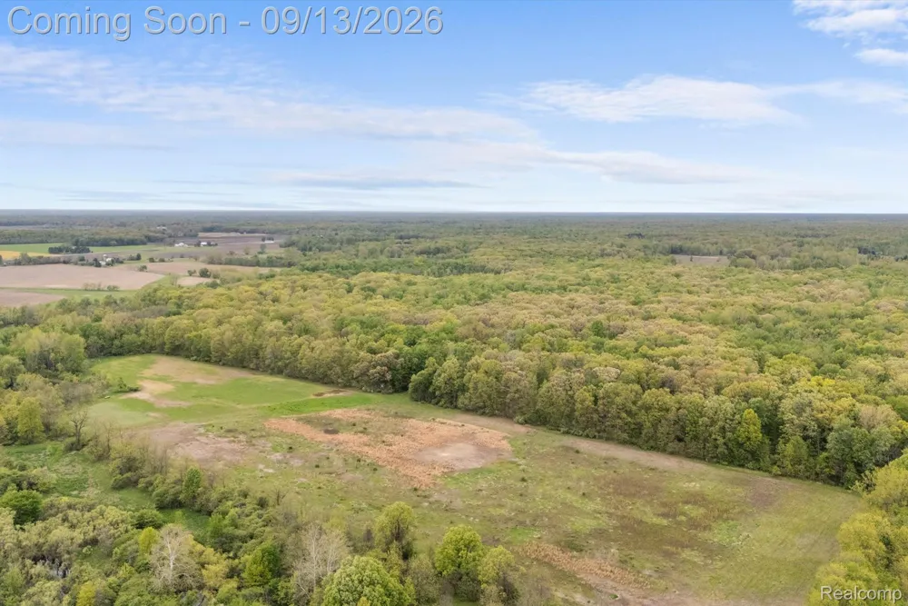 12242 S Stoney Creek Road Exeter Township, MI 48159