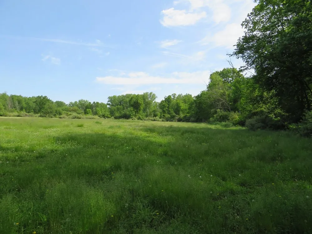 VL Rescue Road Owendale, MI 48754