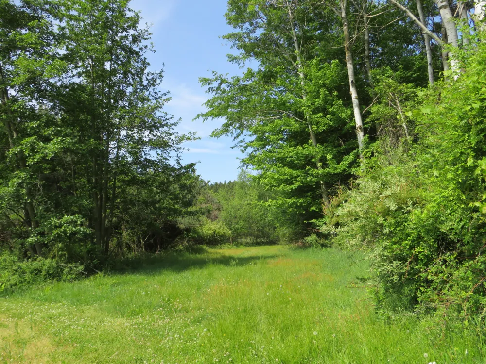VL Rescue Road Owendale, MI 48754