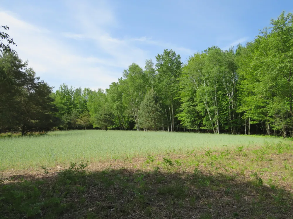 VL Rescue Road Owendale, MI 48754