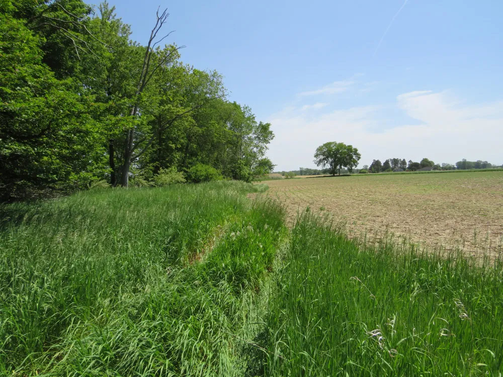 VL Rescue Road Owendale, MI 48754