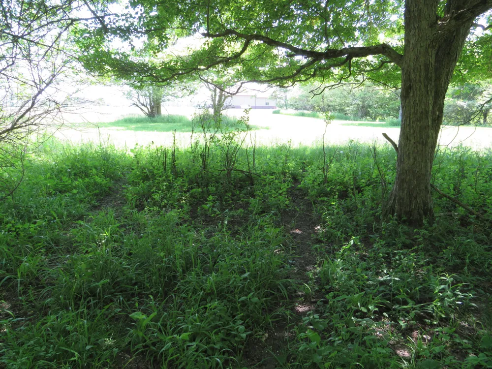 VL Rescue Road Owendale, MI 48754