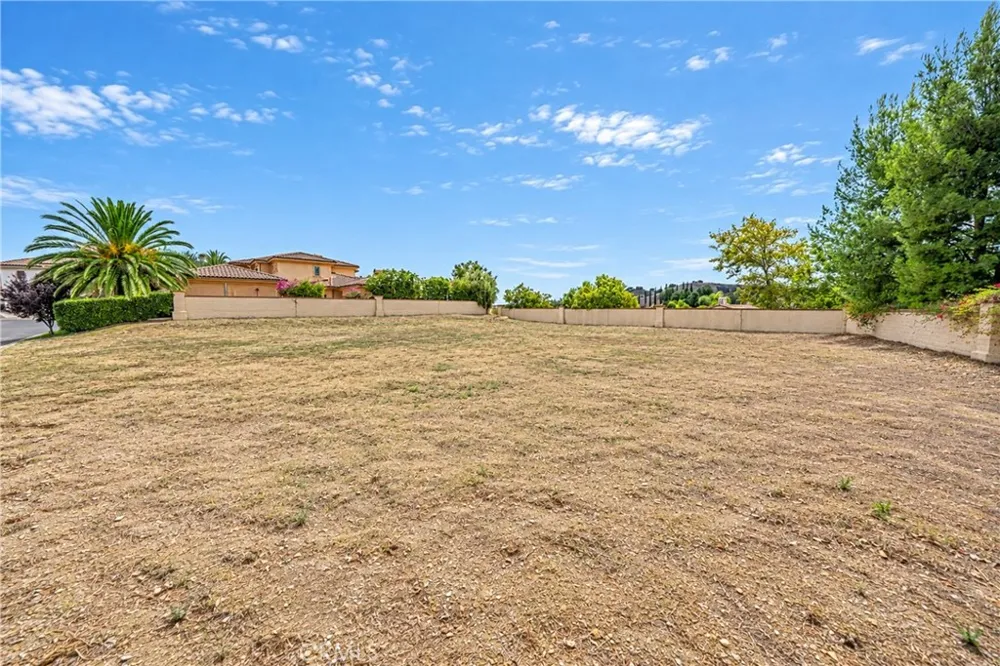 16309 DOMANI TERRACE Chino Hills, CA 91709