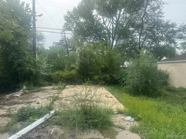 20287 Strasburg Street Detroit City, MI 48205