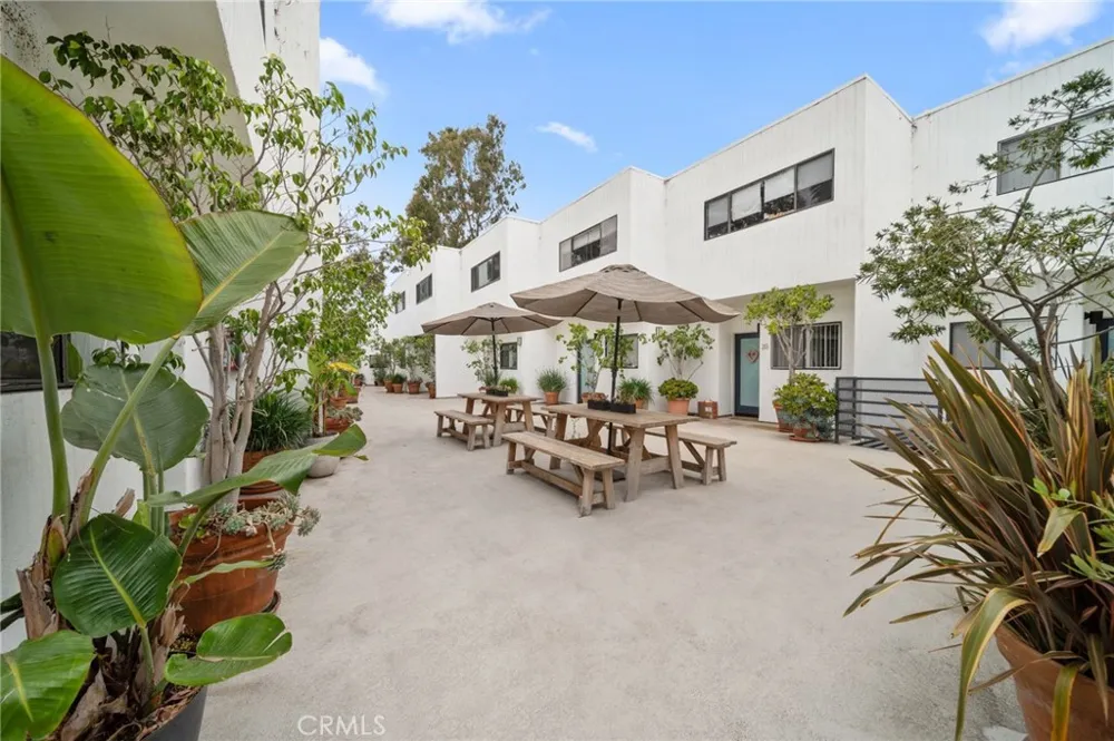 2500 Abbot Kinney Boulevard #5 Venice, CA 90291