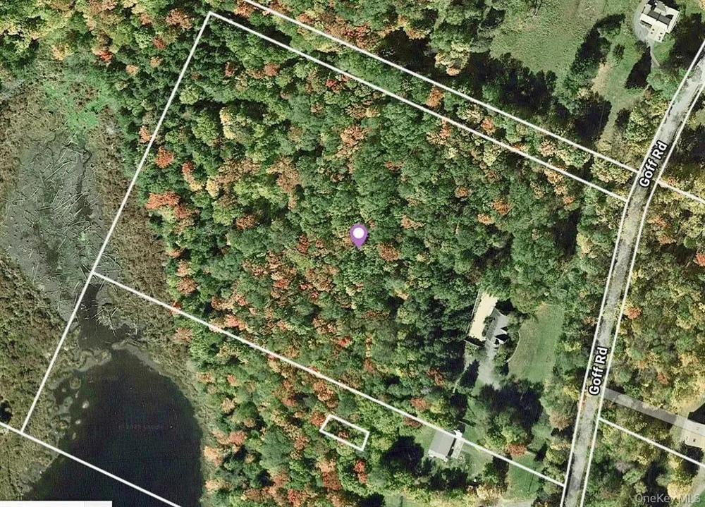 285 Goff Road Livingston Manor, NY 12758
