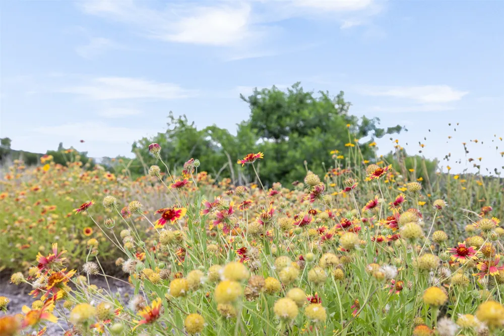 11207 Mountain Top Circle Jonestown, TX 78645