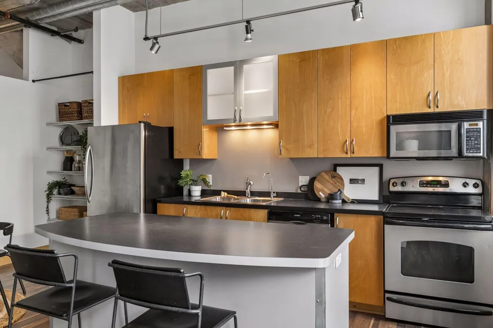 918 3rd Street #309 Minneapolis, MN 55401