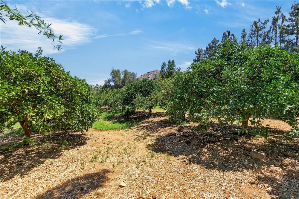 6190 Hawarden Riverside, CA 92506