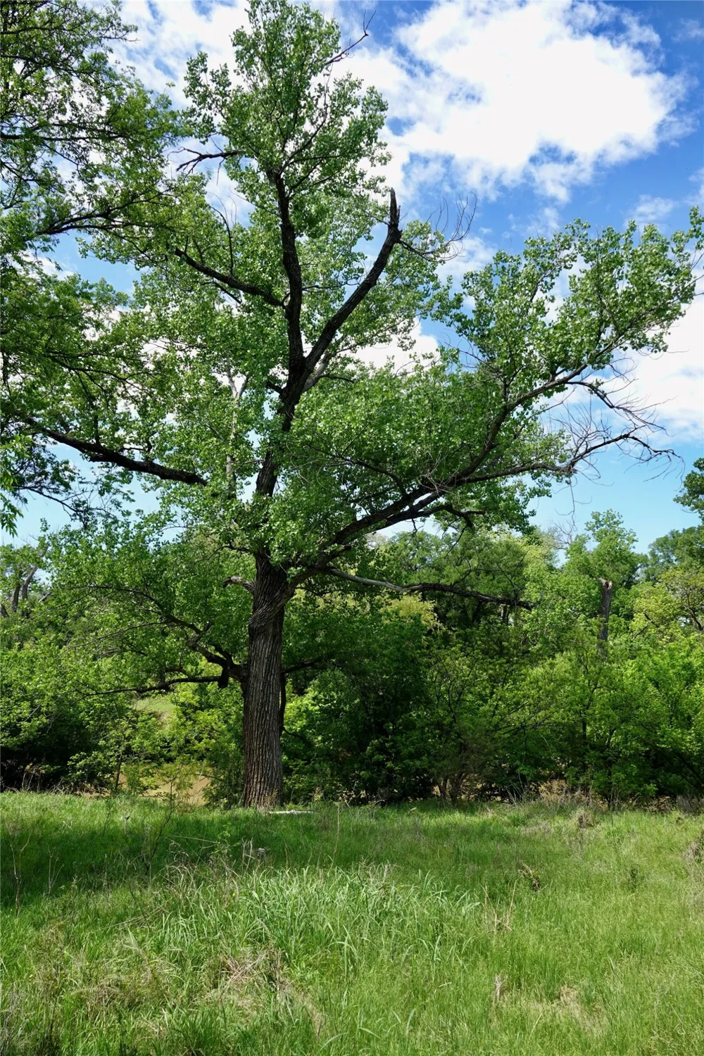 588 S County Road 430 Goldthwaite, TX 76844