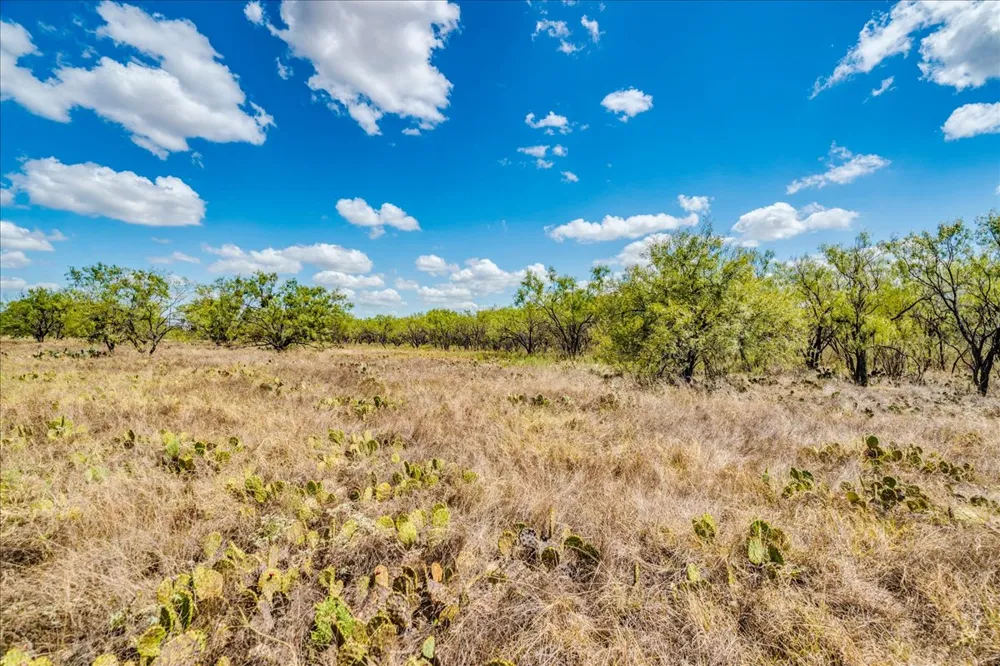 883 Crider road Marble Falls, TX 78654