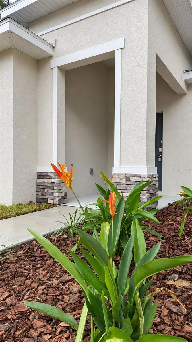 9572 SANDREE DRIVE Citrus Springs, FL 34434