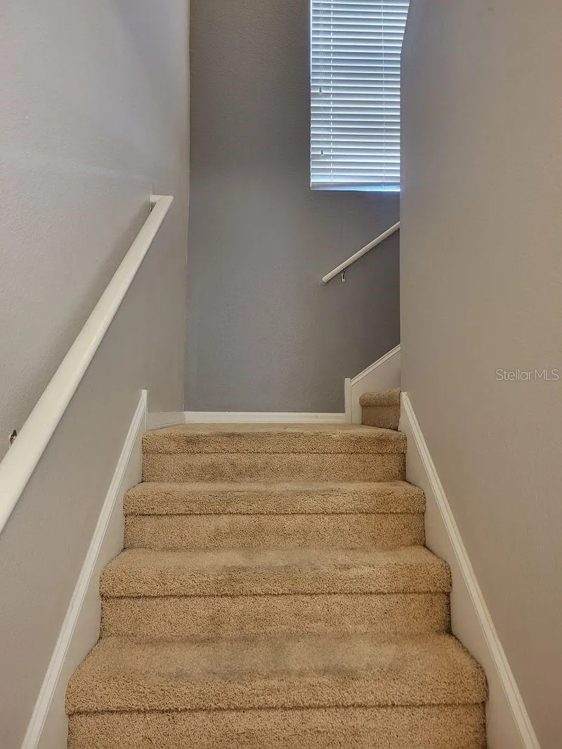 5525 WHITE MARLIN COURT New Port Richey, FL 34652