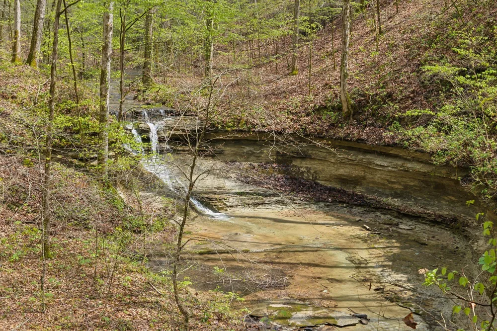 3105 Coy Hill Rd Olivehill, TN 38475
