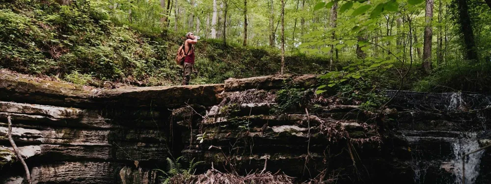 3105 Coy Hill Rd Olivehill, TN 38475