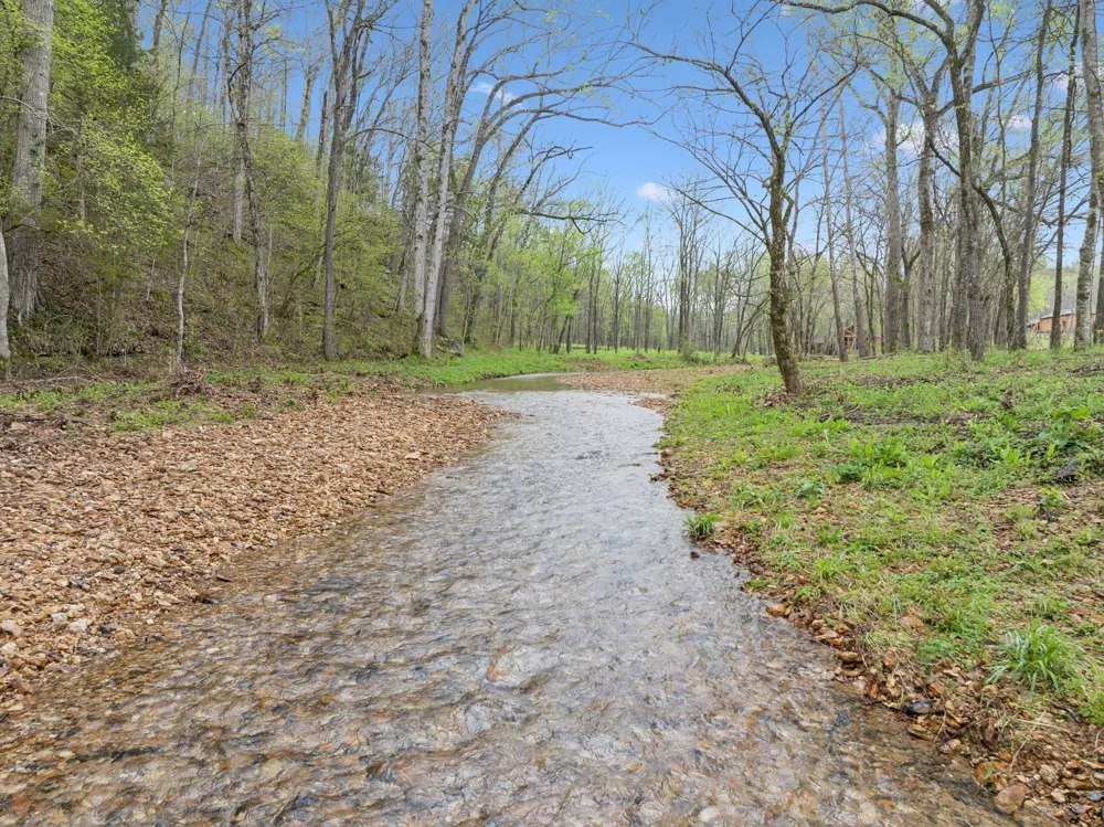 3105 Coy Hill Rd Olivehill, TN 38475