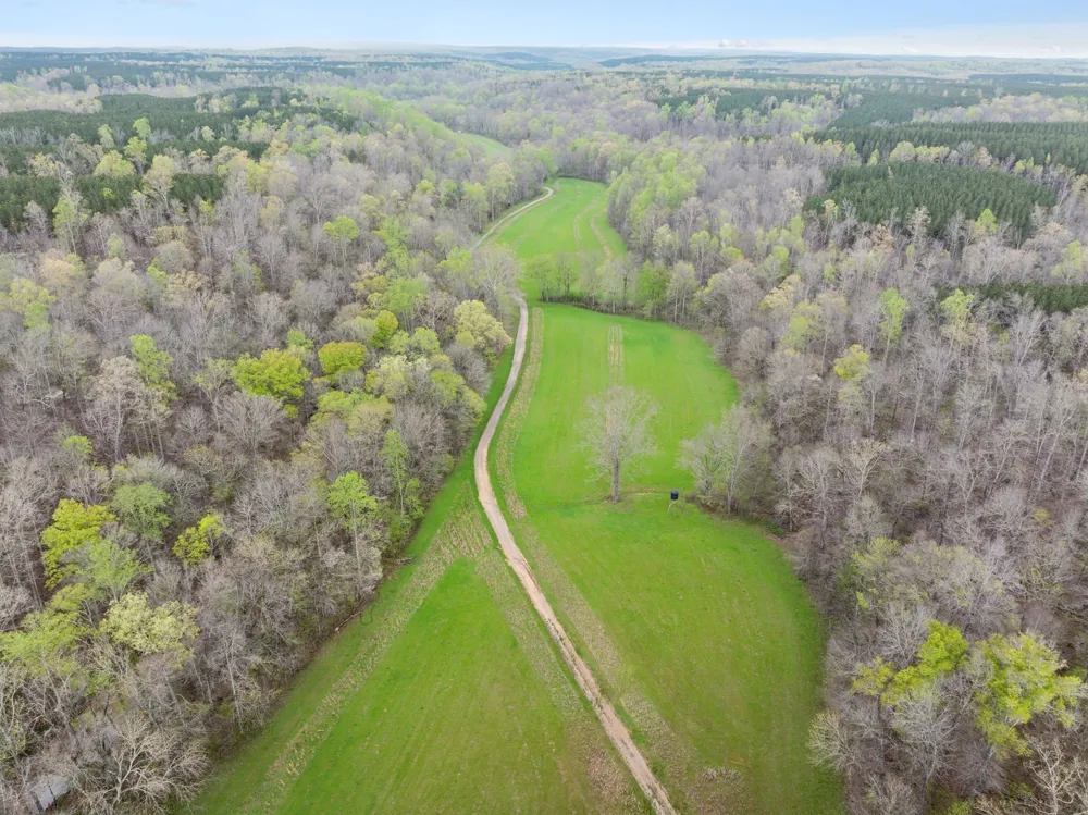 3105 Coy Hill Rd Olivehill, TN 38475