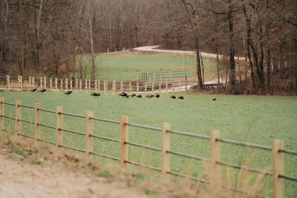 3105 Coy Hill Rd Olivehill, TN 38475