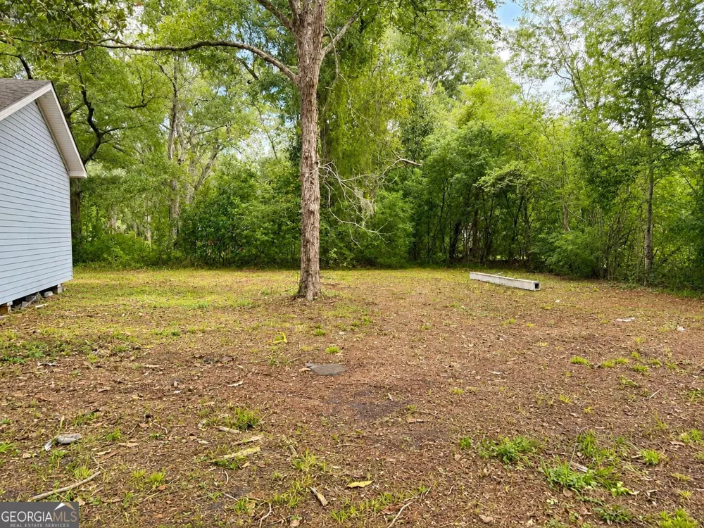 23 Wilson ST Nahunta, GA 31553
