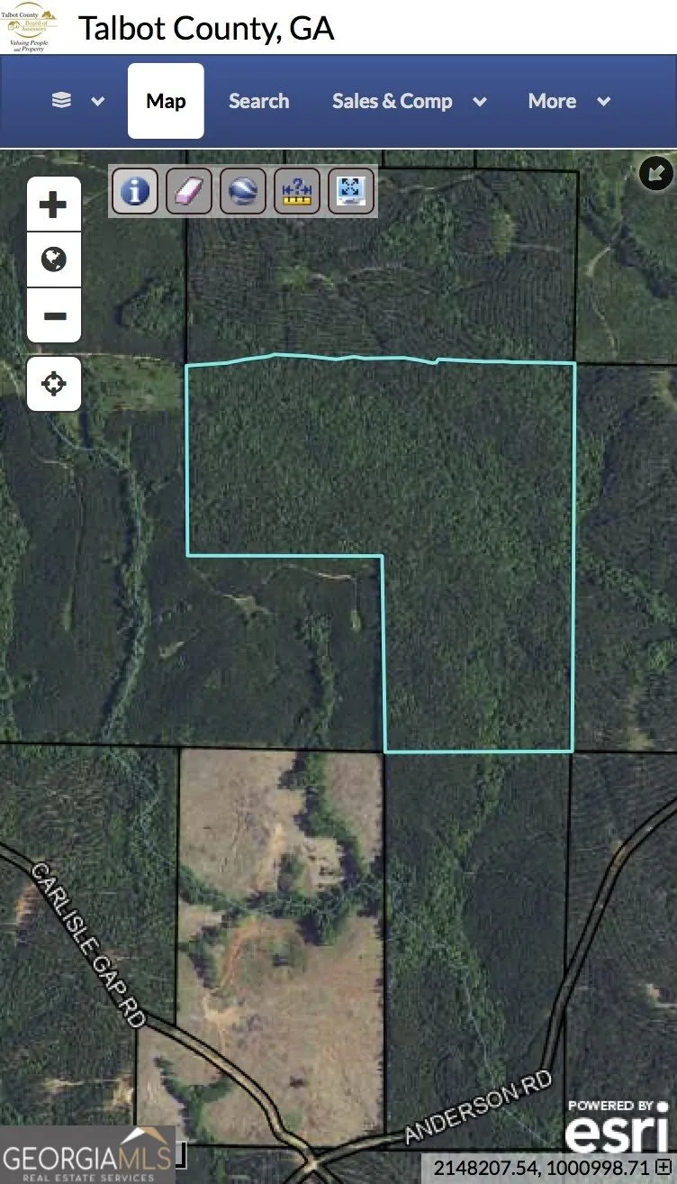 0 Anderson Road Woodland, GA 31836