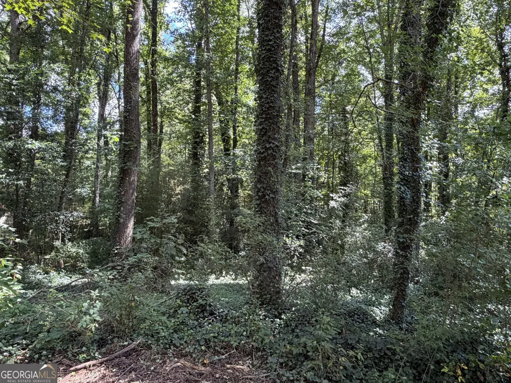 131 Meadow Ridge DR Stockbridge, GA 30281