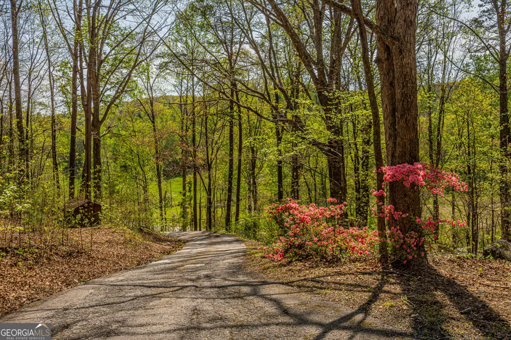 2992 Camp Wahsega RD Dahlonega, GA 30533