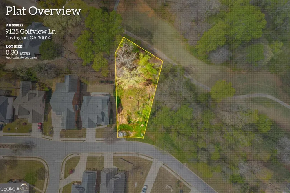 9125 Golfview LN Covington, GA 30014