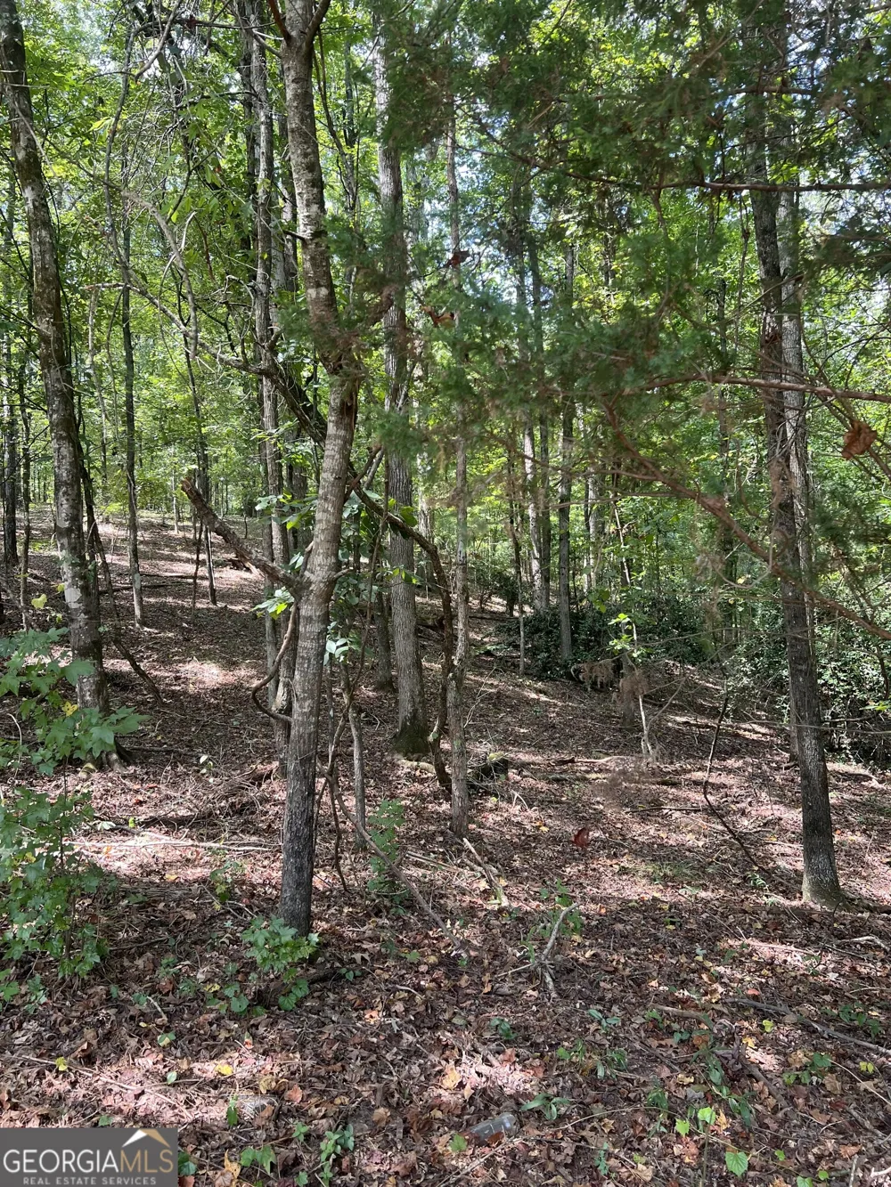 0 Barouche DR Thomaston, GA 30286