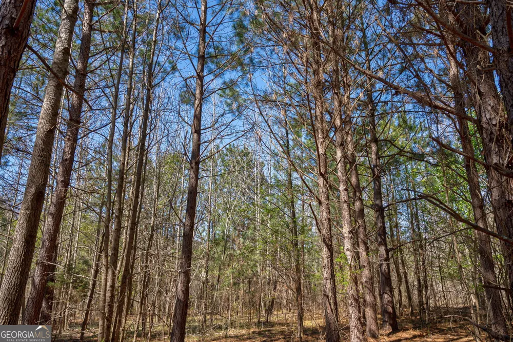 0 Poplar ST Monroe, GA 30655