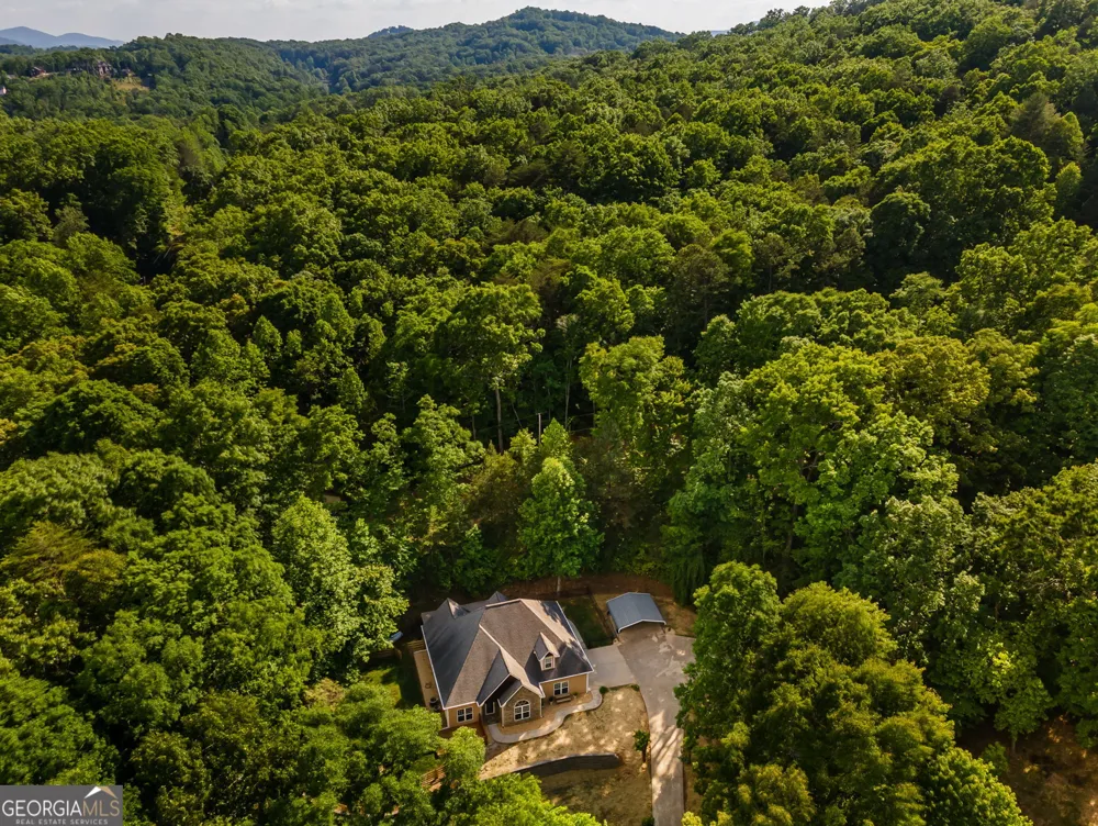 201 Oakawana TRL Blue Ridge, GA 30513