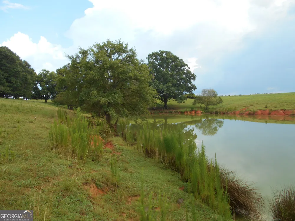 69 ACRES Elberton Highway Hartwell, GA 30643
