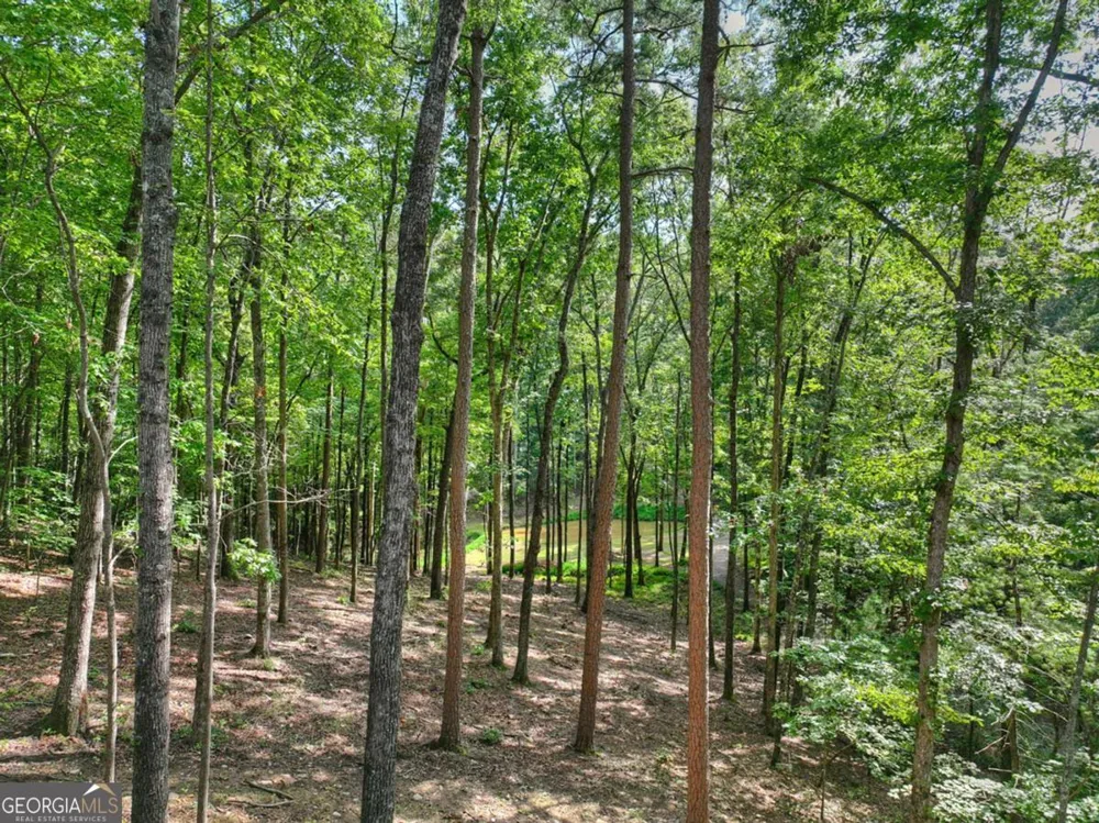 412 Mountain Tops CIR Blue Ridge, GA 30513
