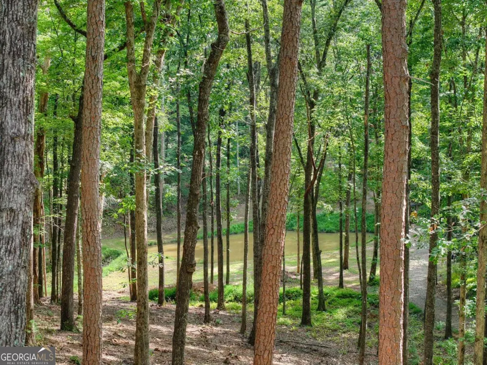 412 Mountain Tops CIR Blue Ridge, GA 30513