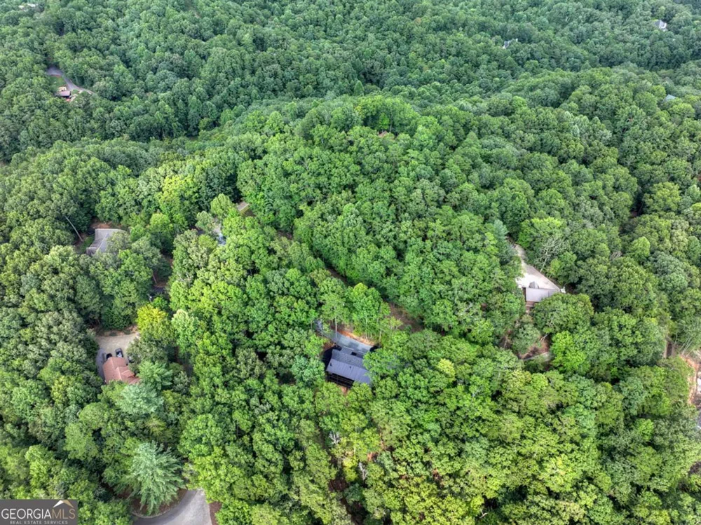 412 Mountain Tops CIR Blue Ridge, GA 30513