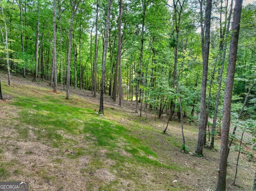 412 Mountain Tops CIR Blue Ridge, GA 30513