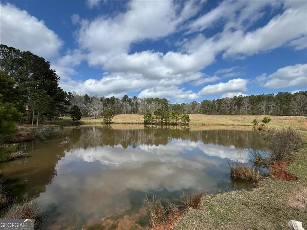 1126 County Road 145 Roanoke, AL 36274