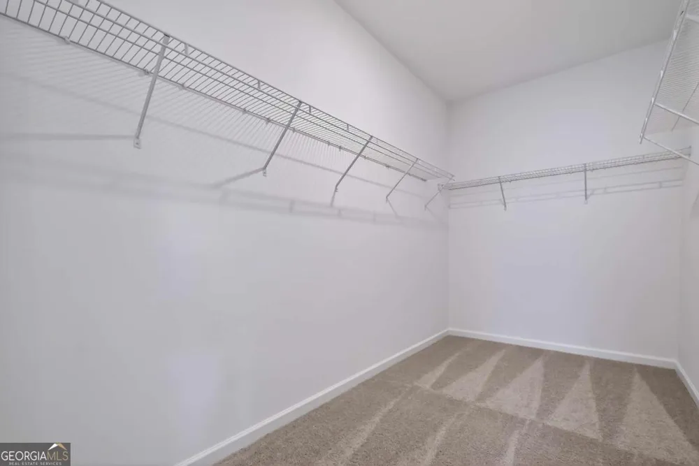 1409 Trellis CT Hampton, GA 30228