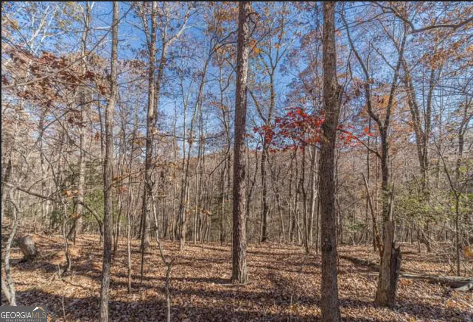 LOT 6 Arborwood DR Dahlonega, GA 30533