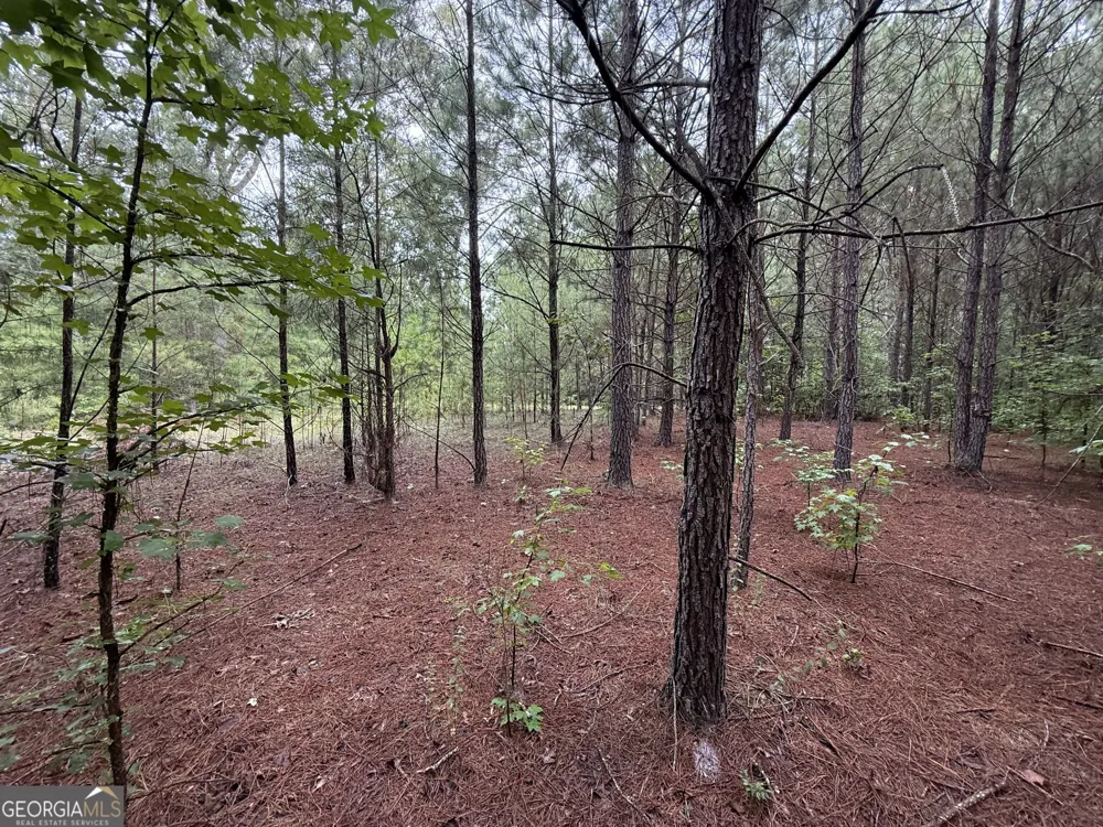 0 Livingston RD Rome, GA 30161