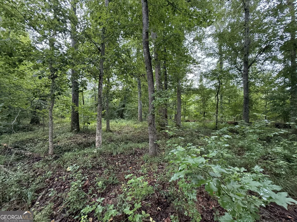 0 Livingston RD Rome, GA 30161