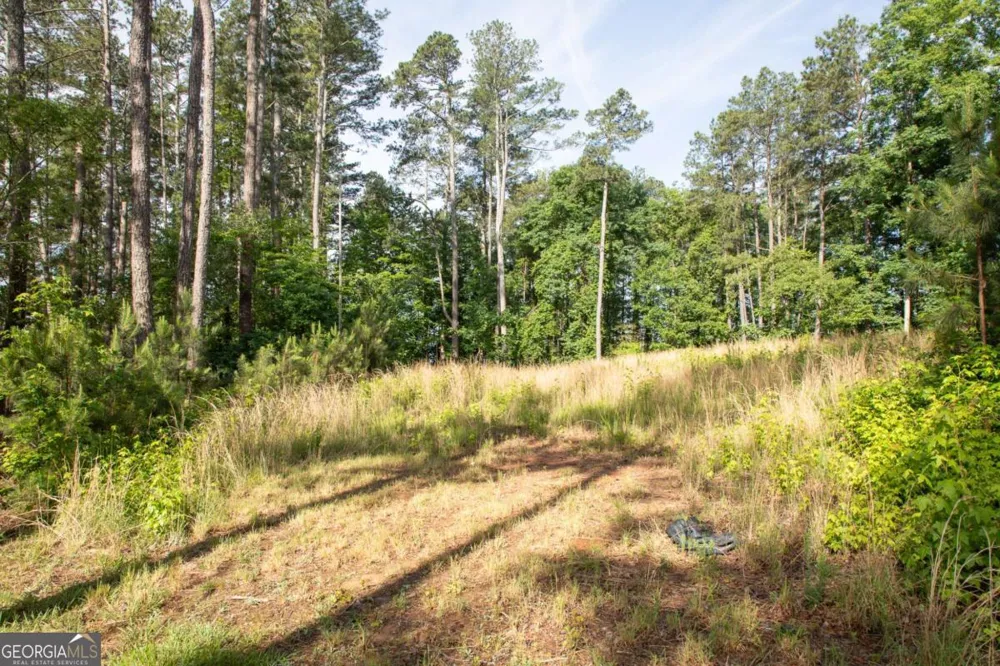 5411 Mayflower CT Gainesville, GA 30504