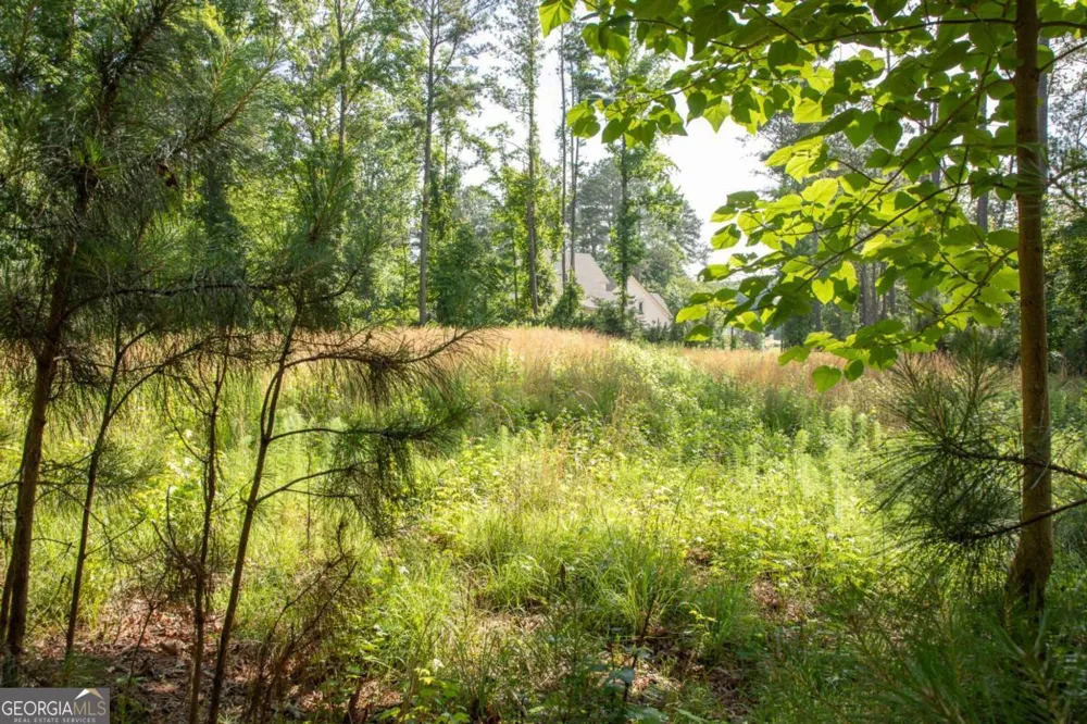 5411 Mayflower CT Gainesville, GA 30504