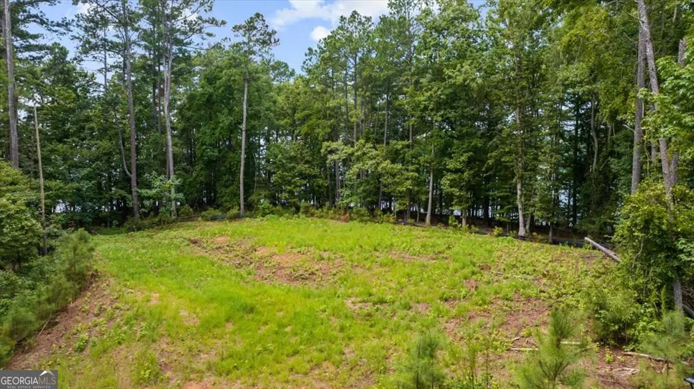 5411 Mayflower CT Gainesville, GA 30504