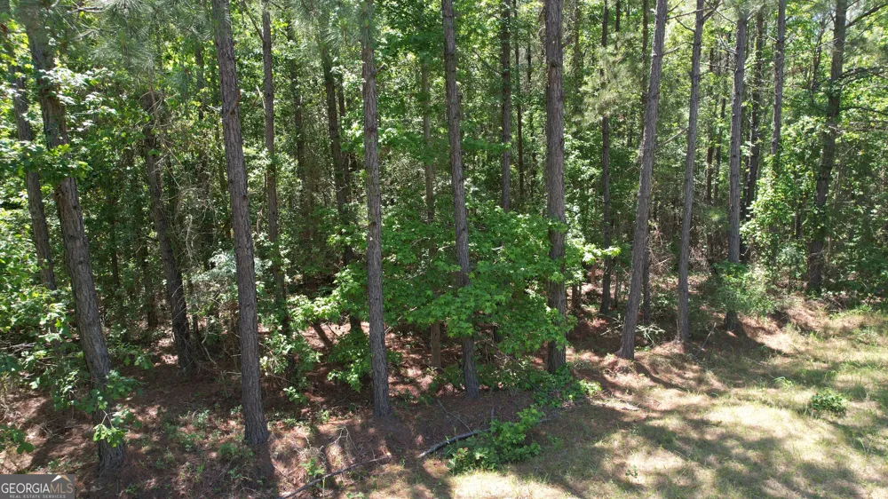 ROSE LOT Dublin Eastman RD Dexter, GA 31019